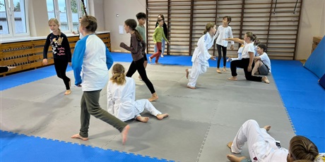 Powiększ grafikę: Innowacja judo.