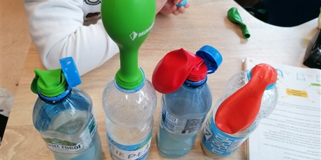 Lekcja przyrody w klasie 4
