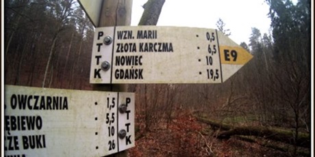Powiększ grafikę: Oznaczenia PTTK  z leśnych ścieżek.