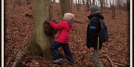 Powiększ grafikę: Dzieci oglądające hubę na drzewie.