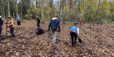 🌳💚 Zielona akcja naszych uczniów! 💚🌳