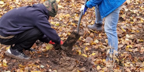 Powiększ grafikę: Akcja sadzenia drzew - uczniowie sadzą drzewa.