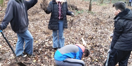 Powiększ grafikę: Akcja sadzenia drzew - uczniowie sadzą drzewa.